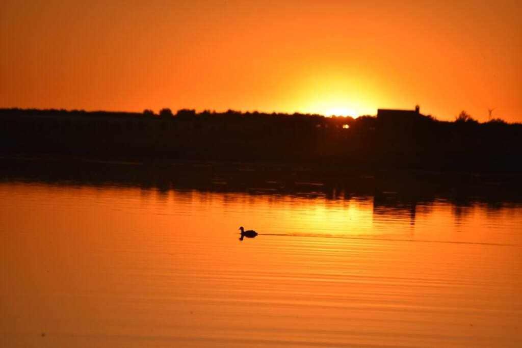 Alojamiento El Pez Casa Con Piscina Climatizada Villafranca de los Caballeros Dış mekan fotoğraf