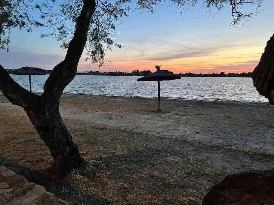 Alojamiento El Pez Casa Con Piscina Climatizada Villafranca de los Caballeros Dış mekan fotoğraf